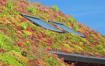 West Garforth living roof systems